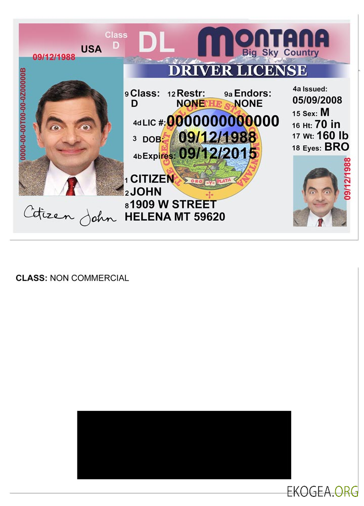 USA Montana driving license version 2